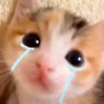 miao profil fotoğrafı