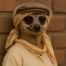 Profilbild von Naa Dromo๎จ