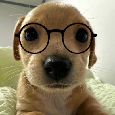 mc21796061's profile picture