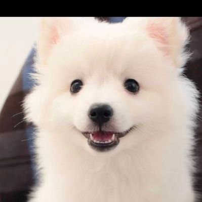 maxuecong1998's profile picture