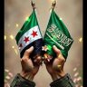 Ali Salami's profile picture