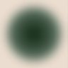 まりも profil fotoğrafı