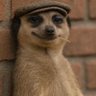leke's profile picture