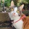 FUKU profil fotoğrafı