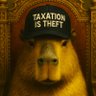 Happy Capybara 的头像