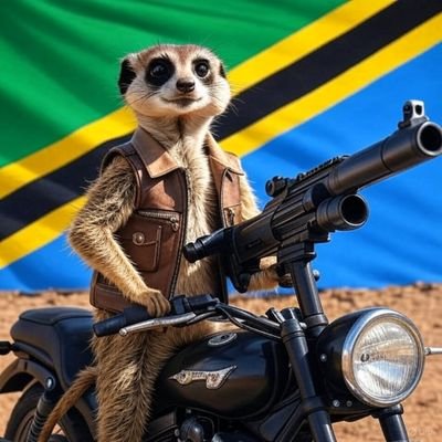 nguchiro47's profile picture