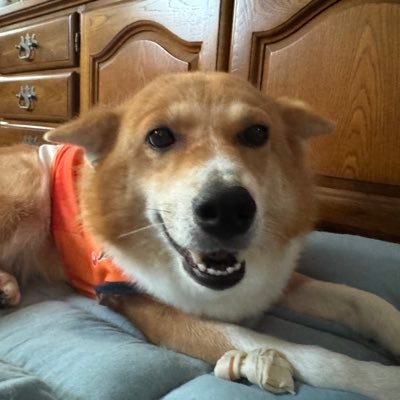 tunapiko0212's profile picture
