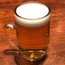 中ジョッキ🍺(雑草群)'s profile picture