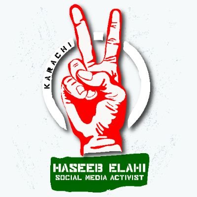 Haseeb Elahi's profile picture