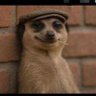 Sammy's profile picture