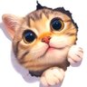 cattt 的头像