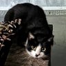 誤りのコンコルド profil fotoğrafı