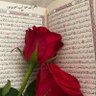 Фото профиля S💚if Bachir