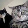 oly’ profil fotoğrafı
