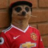 useless's profile picture