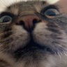 TediGamerYT ☻'s profile picture