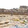 Фото профиля التفاؤل أساس الحياة