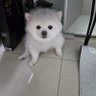 Bangooliunni's profile picture