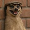 Profilbild von NewNawtyProf