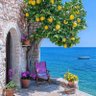 Фото профиля Gülizar Aydın