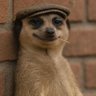 Profilbild von jagun jagun