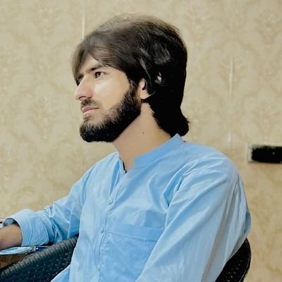 Hekmat wazir حکمت وزیر's profile picture