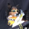 T's profile picture