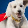 Krypto Millionaire profil fotoğrafı