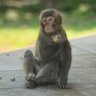 そぬ〜ん's profile picture