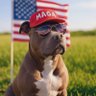 Profilbild von Brando from Buffalo 1776