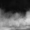 The Mist's profile picture