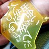 みよしんぽ profil fotoğrafı