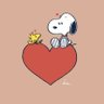 Profilbild von ( ;ᯅ; ) 💙💚💜❤️💛🦝