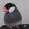 Profilbild von 火星人