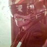 Donald Bergin's profile picture