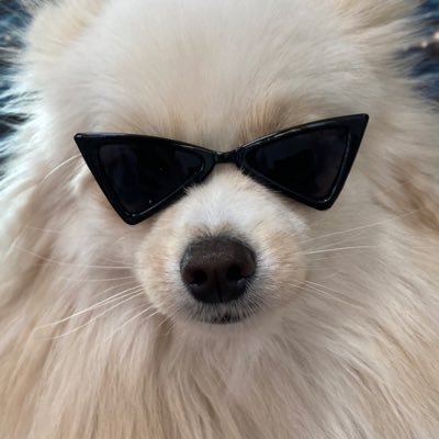 설이집사's profile picture