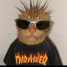 Profilbild von Seth Martinez