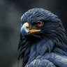 Profilbild von R . G .Z