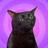 ZonedOutMike's profile picture