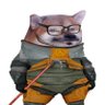 Gordon Fella's profile picture