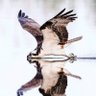 Тайный Узбек 🤙 profil fotoğrafı