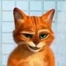 Profilbild von Gato