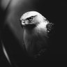 .com profil fotoğrafı
