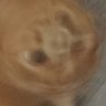 Special Agent Erling Hartmann's profile picture