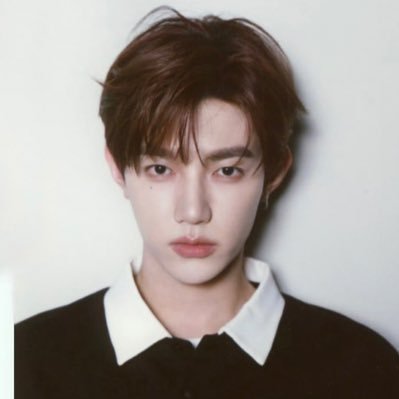 zhang hao archive's profile picture