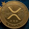 Фото профиля XRP Backer
