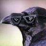 Raven profil fotoğrafı