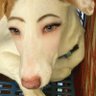 วิปครีมใส่ไก่ทอด's profile picture