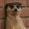 Profilbild von Yessir!
