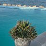Blue Panda profil fotoğrafı
